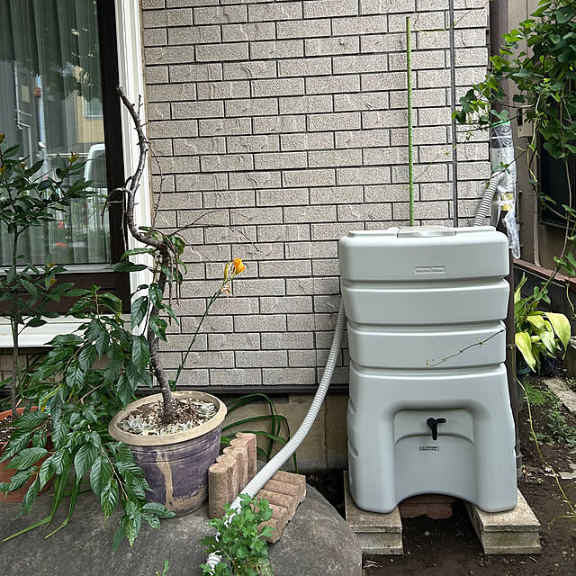 botanさんの実例写真