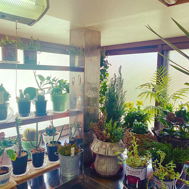 mamanさんの部屋