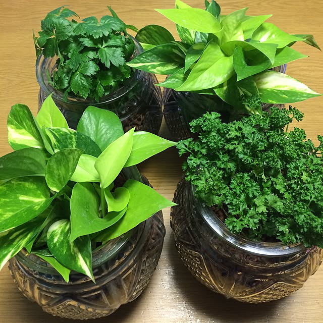 hanamojiさんの実例写真