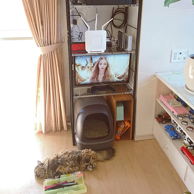 nekomajinさんの実例写真