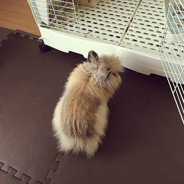 mさんの実例写真