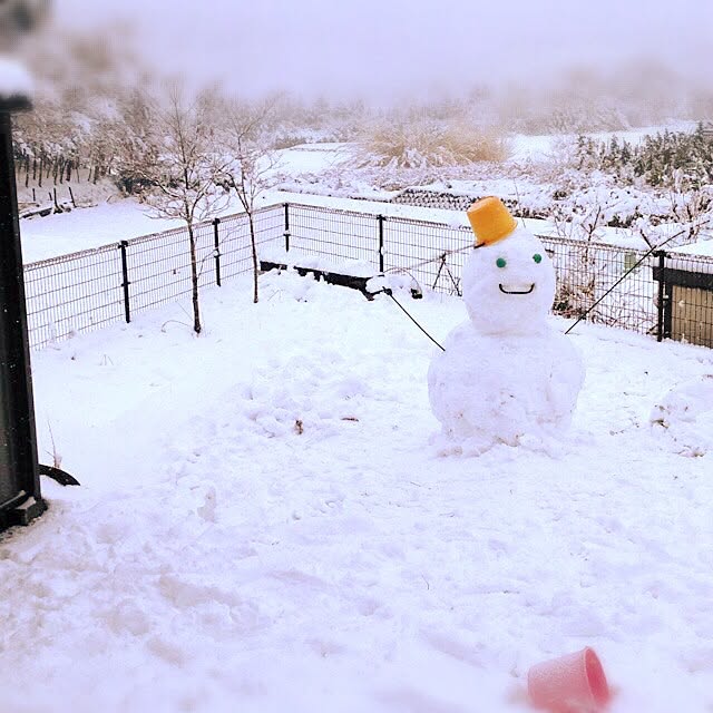Emiさんの実例写真