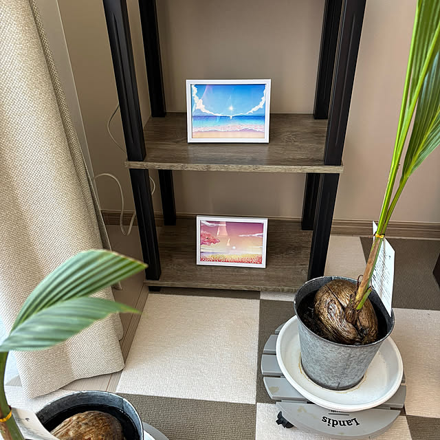 bonjiri0824さんの部屋