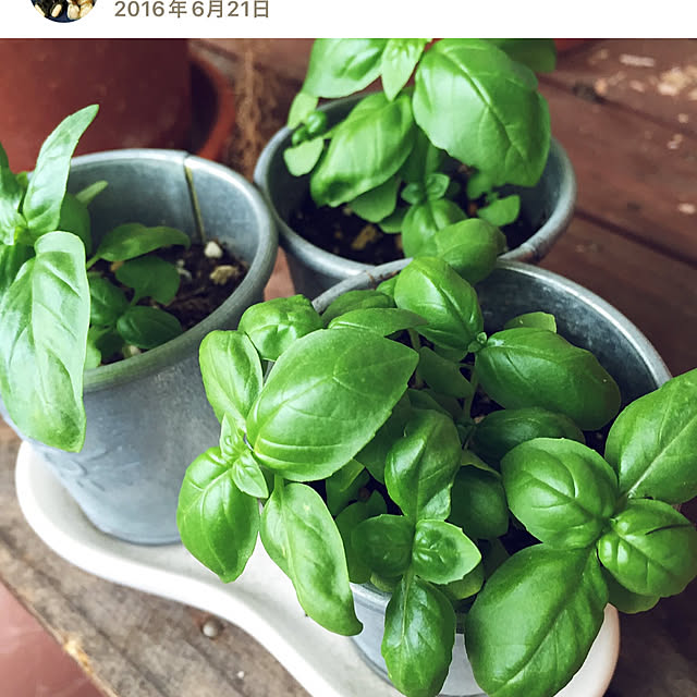 okyame-chanさんの部屋