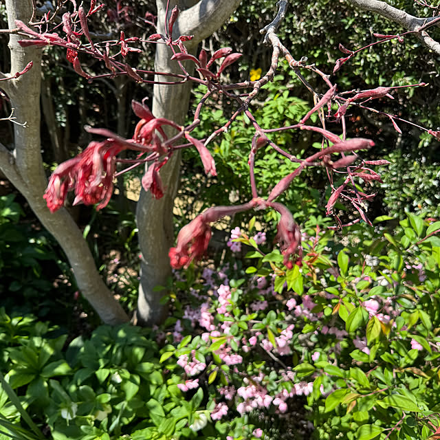 mamizaさんの部屋