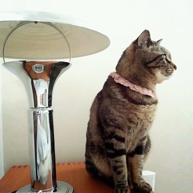 coconana165さんの実例写真
