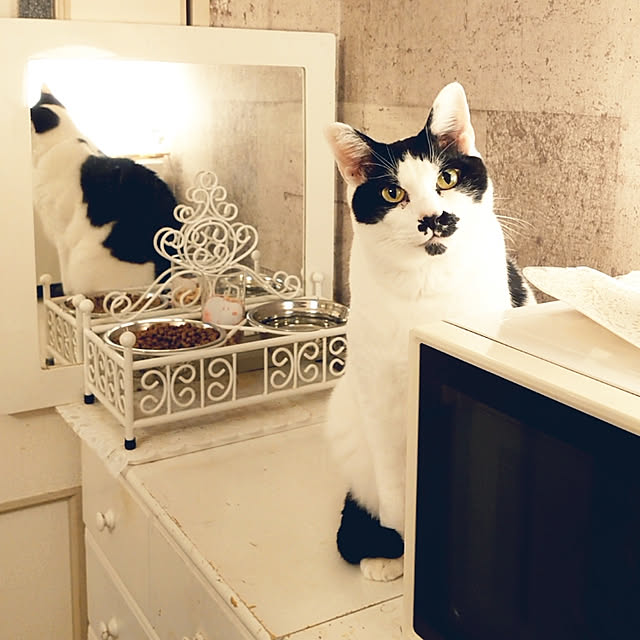 asuminさんの実例写真