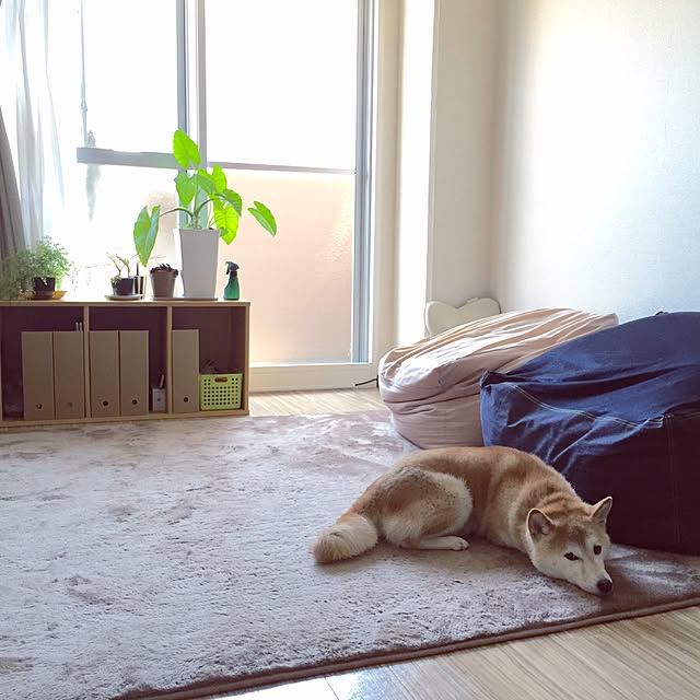 hiromiさんの実例写真