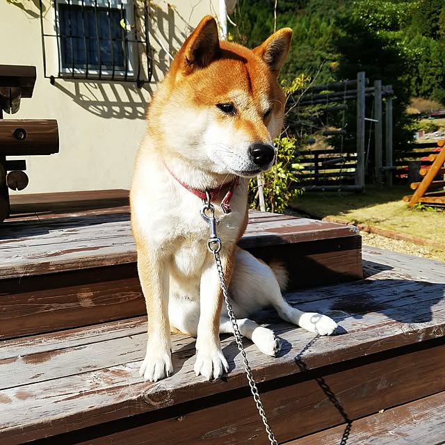 kosaさんの実例写真