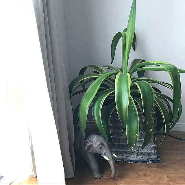 ame_houseさんの実例写真