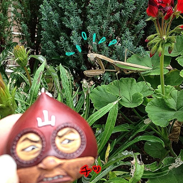 heboraさんの実例写真