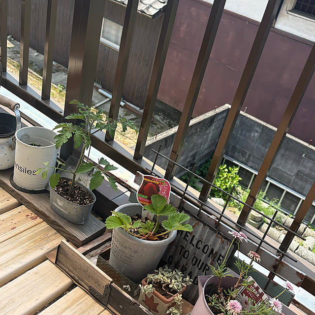 icietlaさんの部屋