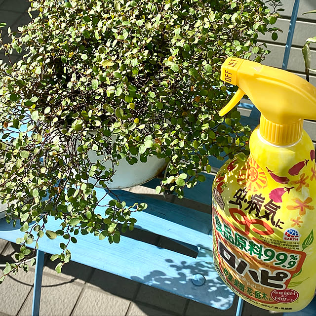 YuuKoさんの実例写真
