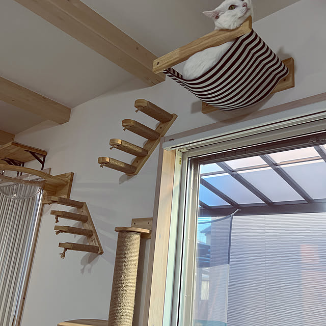 mirai-twdl28さんの部屋