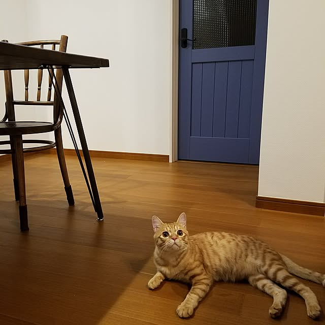C.Tさんの実例写真