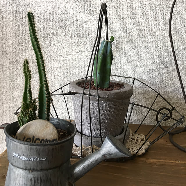 ikukoさんの実例写真