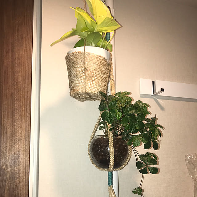 Keikoさんの実例写真