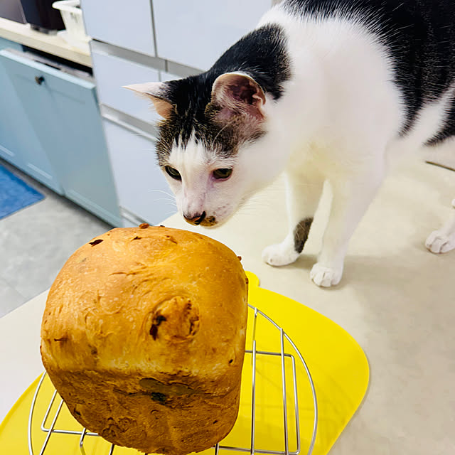 pcu110さんの部屋