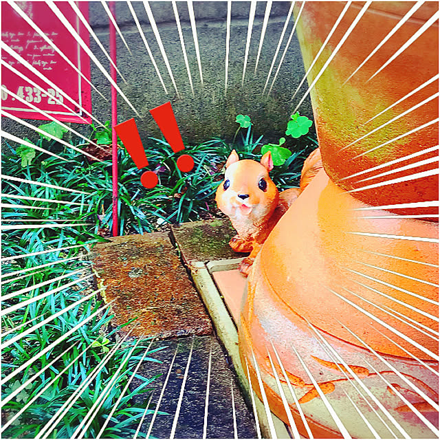 Newtypeさんの実例写真