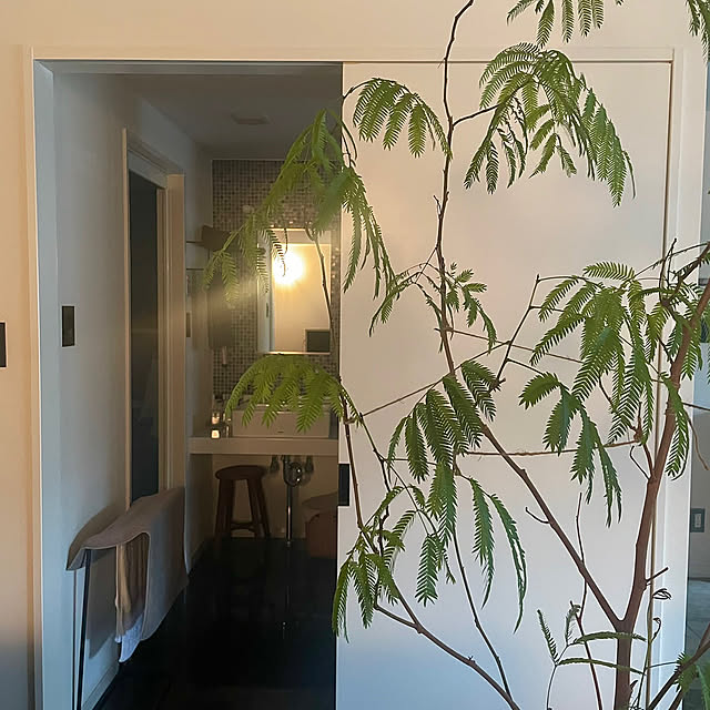 kenさんの部屋
