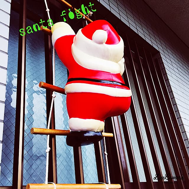 mocoさんの実例写真