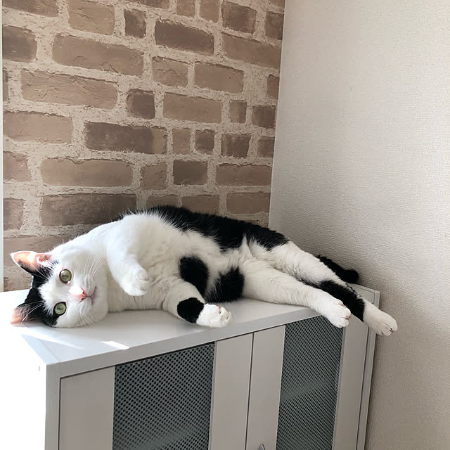 k.Iさんの実例写真