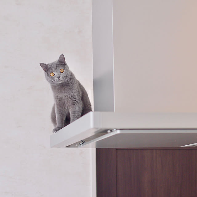 bastetさんの実例写真