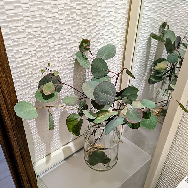 mi-saさんの部屋