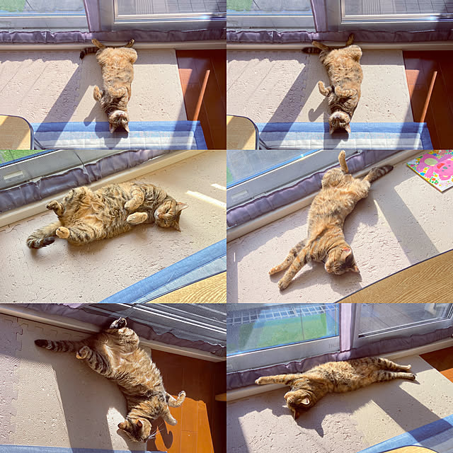 hansho.sさんの実例写真
