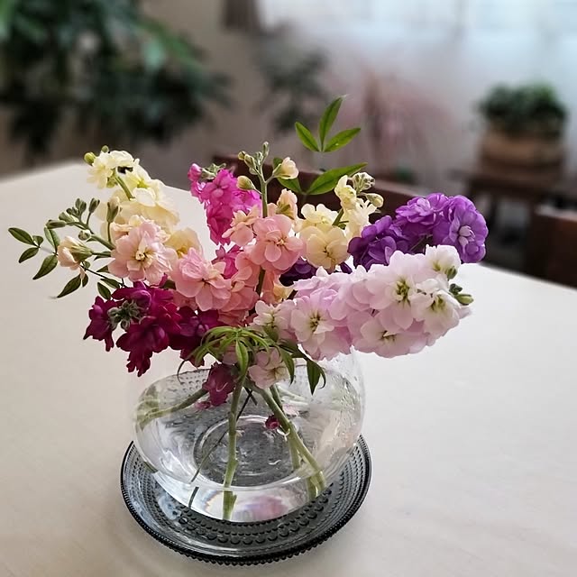 coco0.84.さんの実例写真