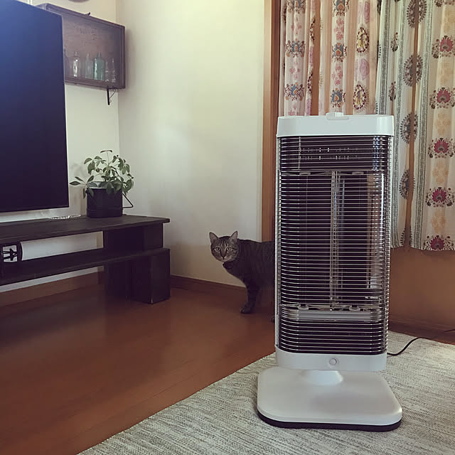mikan161さんの実例写真
