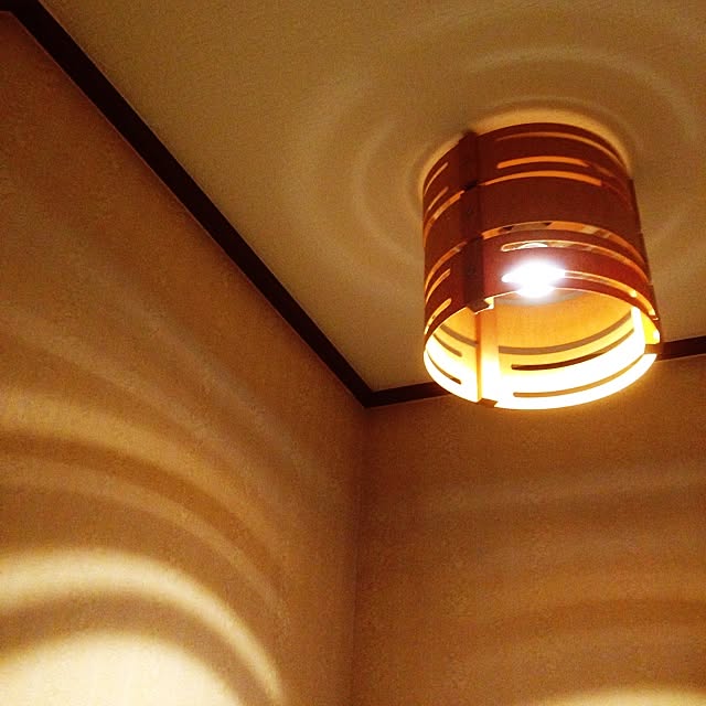 hochisaさんの実例写真