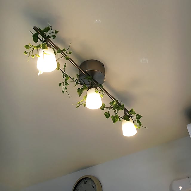 asanotomatoさんの実例写真