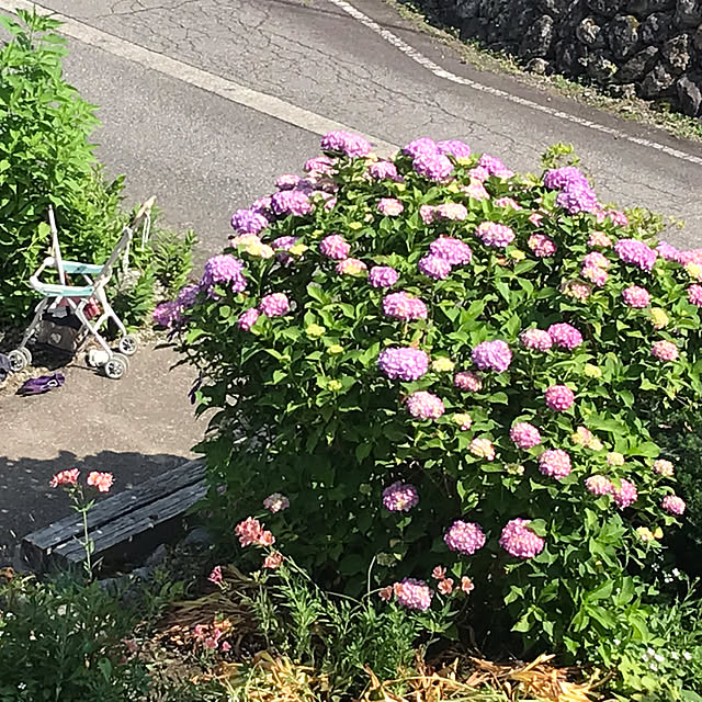 aoinokimiさんの実例写真