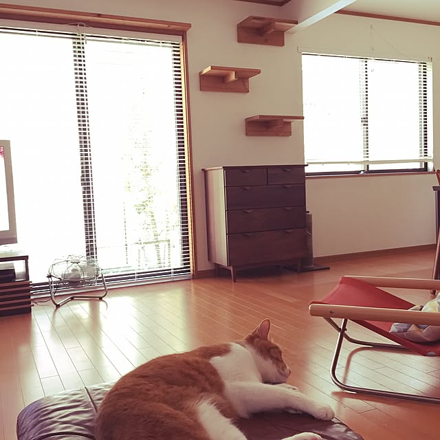 kazuminさんの実例写真