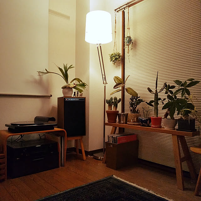 chiroさんの実例写真