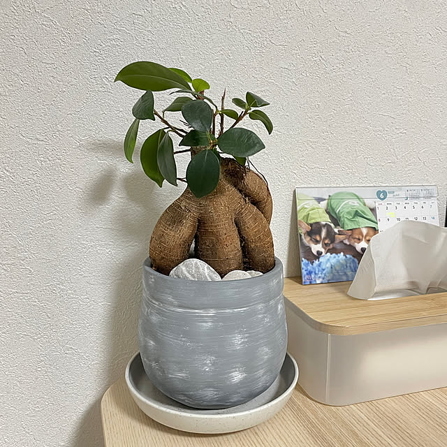 nocoさんの実例写真