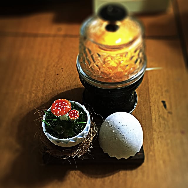 ramuchop3000さんの実例写真