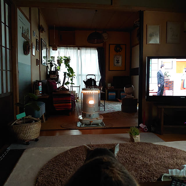 fukuさんの実例写真