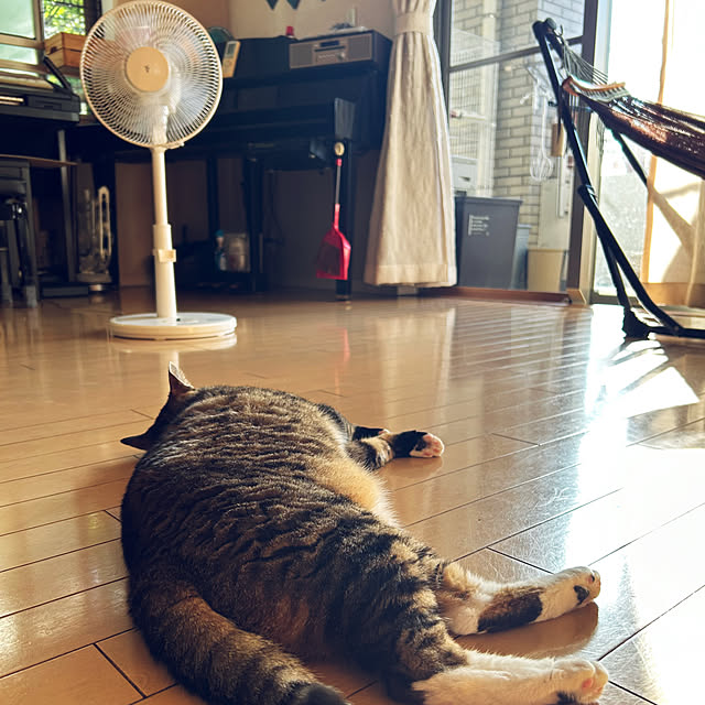 suemonta14さんの実例写真
