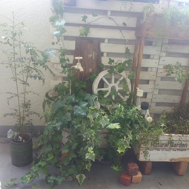 chiさんの実例写真