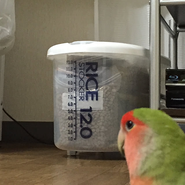 toratanさんの実例写真