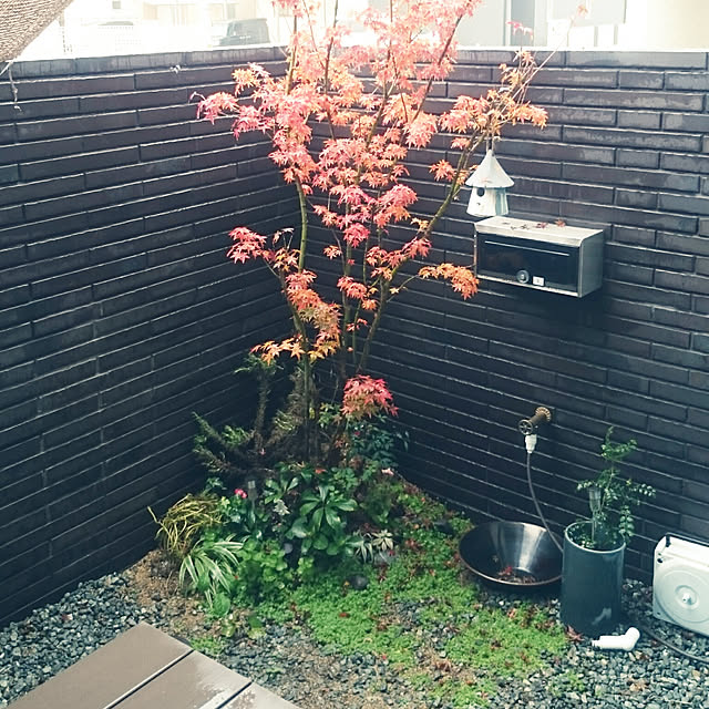 orangeさんの実例写真