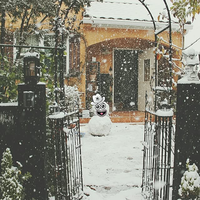 iroさんの実例写真