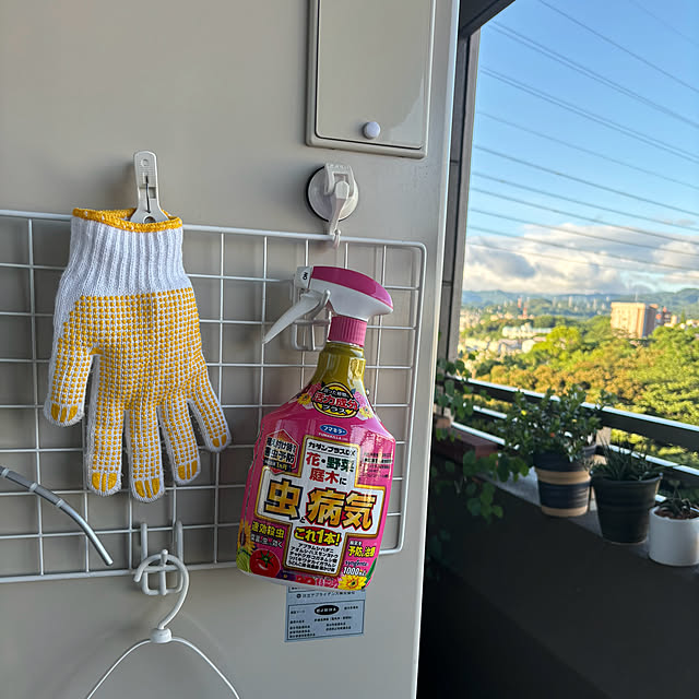 koshiregutyoさんの部屋