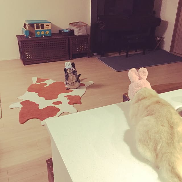 y.k.0123さんの実例写真