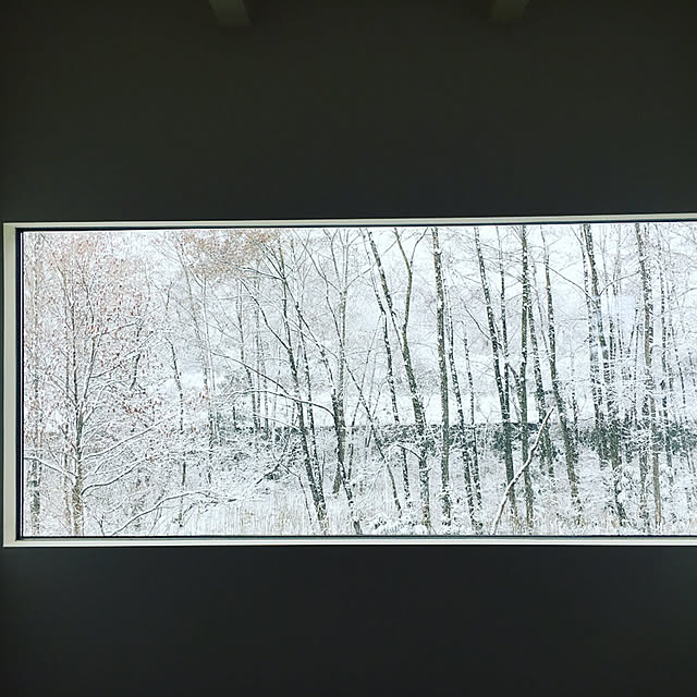 n_m_houseさんの実例写真