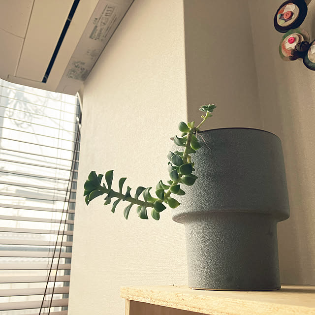 hikaruuさんの部屋