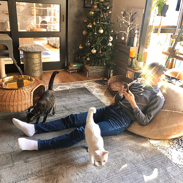 Yukinekoさんの実例写真