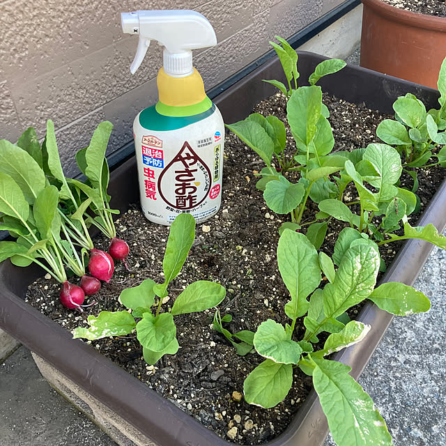 mamaさんの実例写真